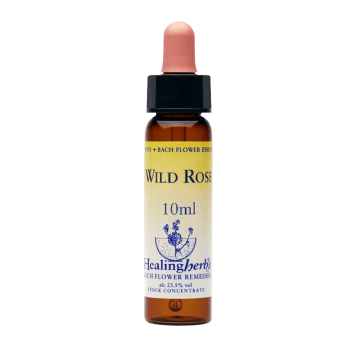 wild-rose-bfr