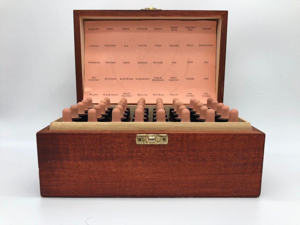 Should I buy a Bach Flower Remedy&nbsp;Kit?
